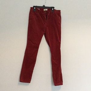 Loft brushed velvet jeans